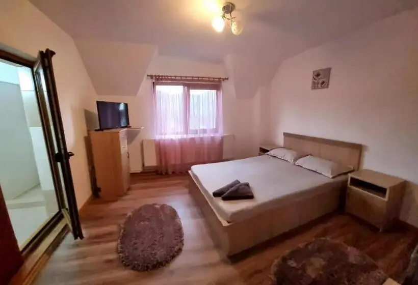 マウンテンビュースタンダードルーム, Popasul Găleșean