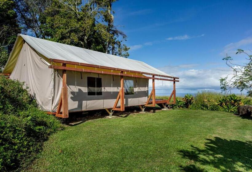 Standard Tent, Waipi O Lodge