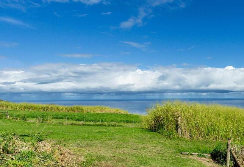 كوخ قياسي, Waipi O Lodge