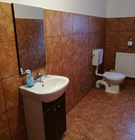 غرفة قياسية ثلاثية, Pensiunea ,,suciu