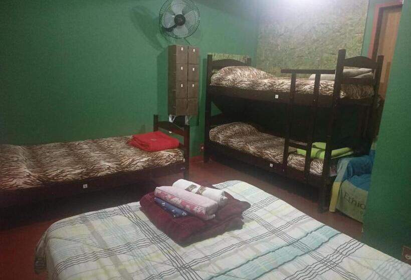 Семейный Номер, Albergue Muzy