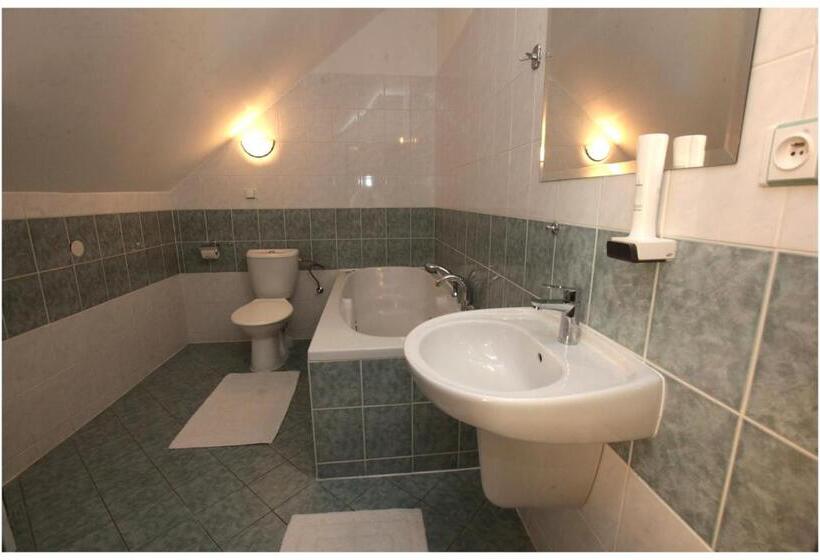 חדר סטנדרט עם מיטת קינג, Restaurant Penzion U Buchlovskeho Zamku