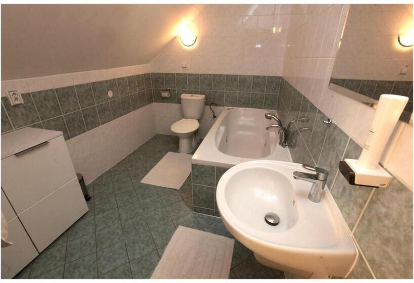 חדר סטנדרט עם מיטת קינג, Restaurant Penzion U Buchlovskeho Zamku