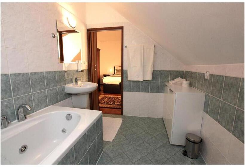 חדר סטנדרט עם מיטת קינג, Restaurant Penzion U Buchlovskeho Zamku