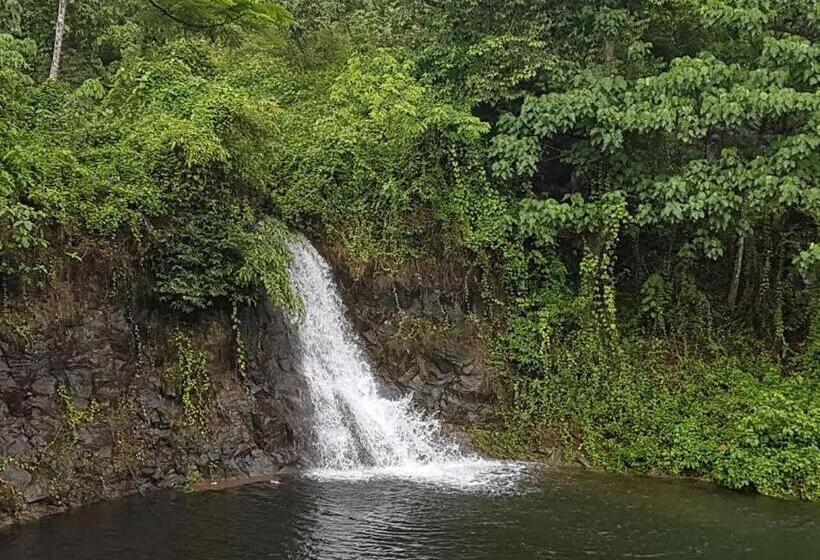חדר דלוקס, Athirapally Green Trees