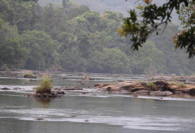 חדר דלוקס, Athirapally Green Trees