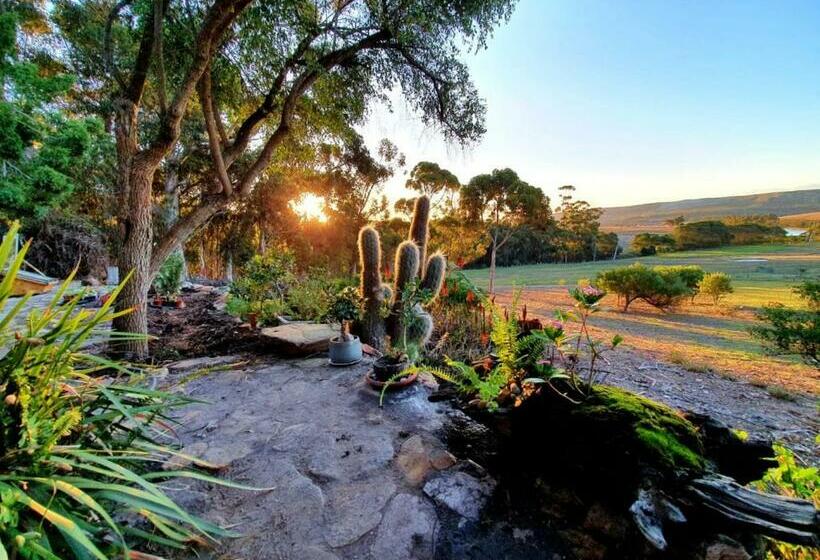 غرفة قياسية, Das Steinhaus