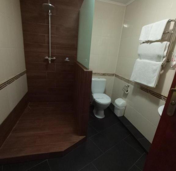 חדר משפחתי, Volyn Hotel Ludmir