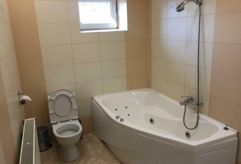 سوئیت جونیور خانوادگی, Mini Hotel Business Class