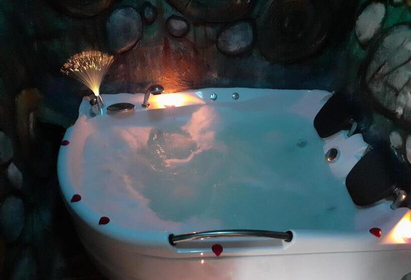Номер Стандарт с Гидромассажем, Pensiunea Dracula & Spa