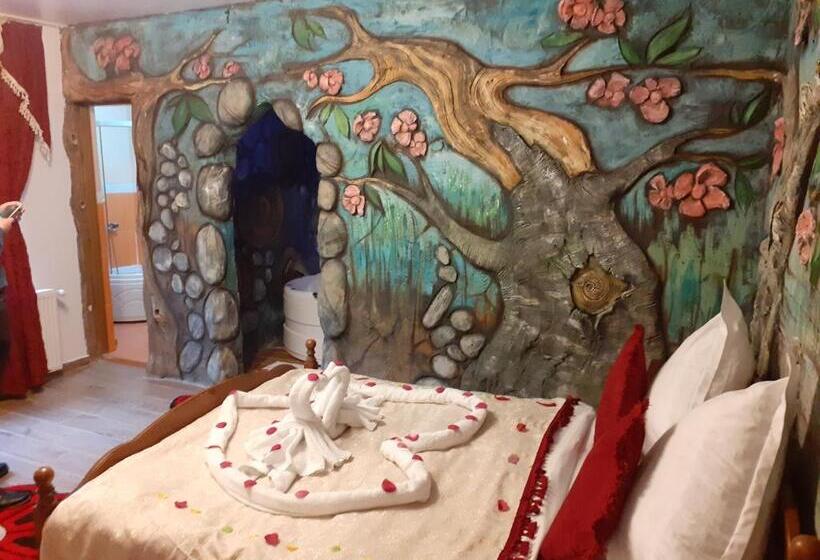 Номер Стандарт с Гидромассажем, Pensiunea Dracula & Spa