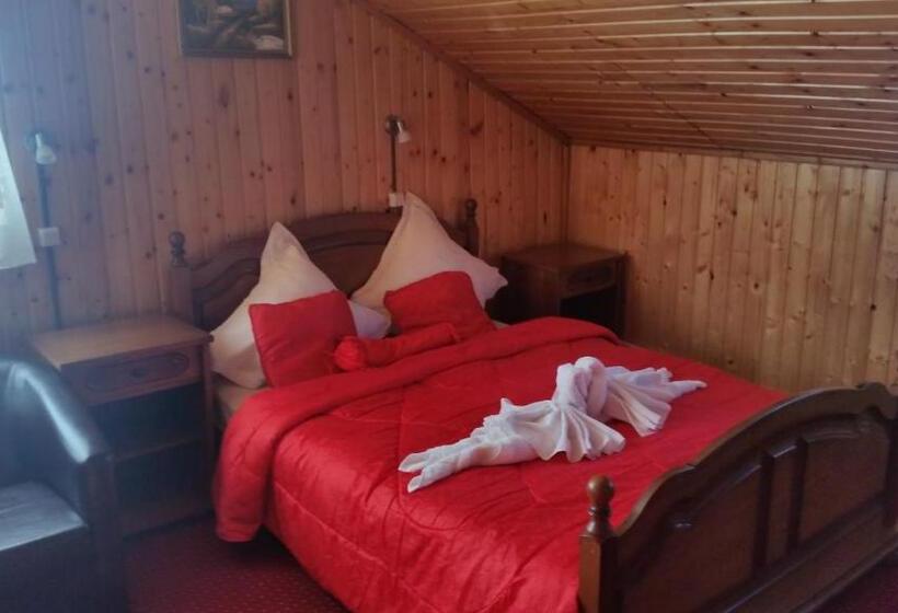 Апартаменты 2 Спальни, Pensiunea Dracula & Spa