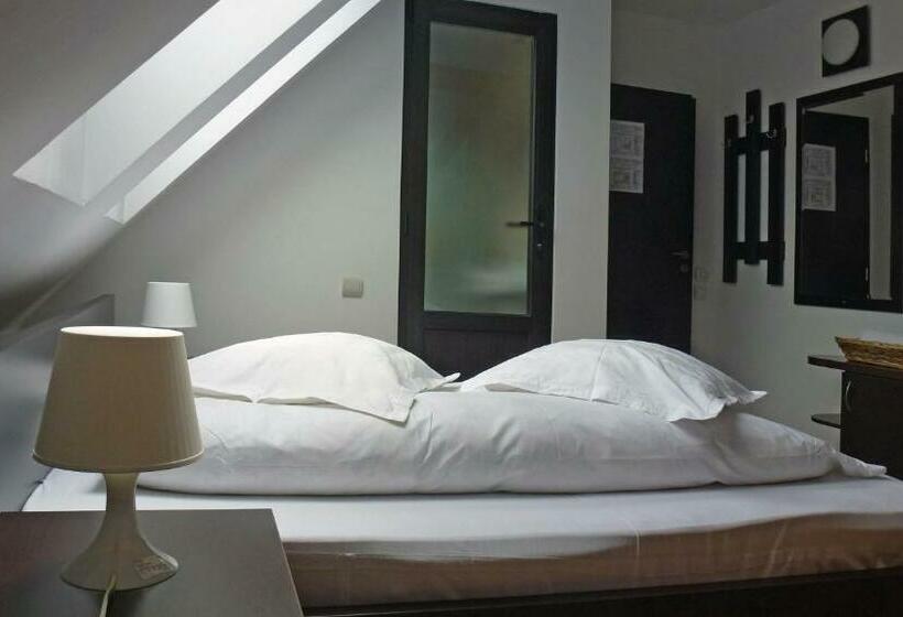 스탠다드 룸 킹사이즈 침대, Sura Pietrei Craiului