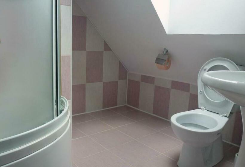 스탠다드 룸 킹사이즈 침대, Sura Pietrei Craiului