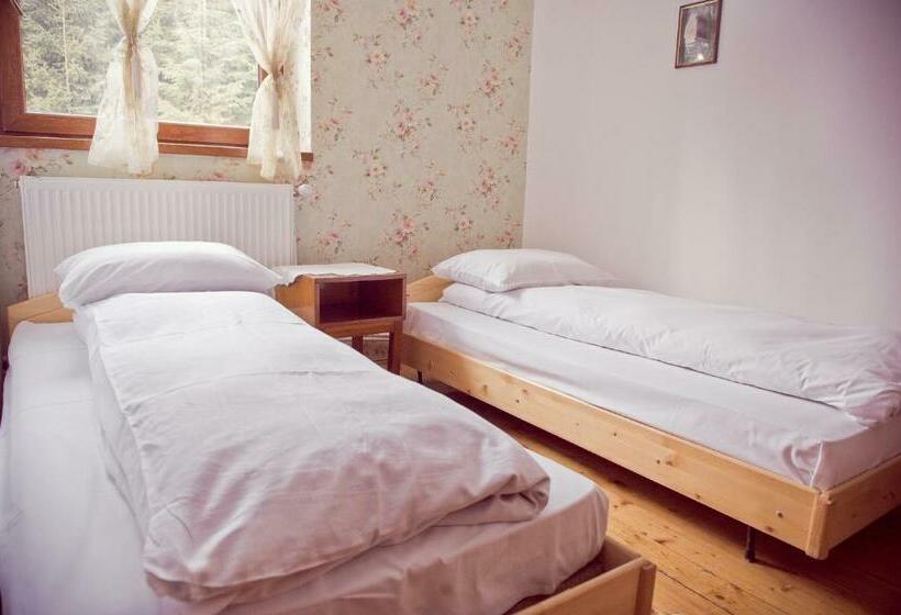 Номер Стандарт Четырехместный Совместный Санузел, Pension Cabana Cetatile Ponorului