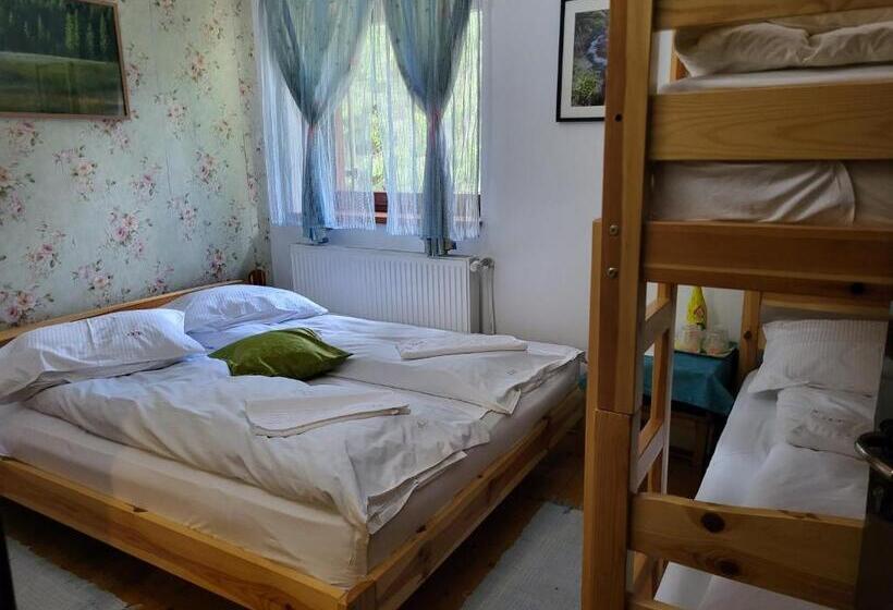 スタンダード４人部屋, Pension Cabana Cetatile Ponorului