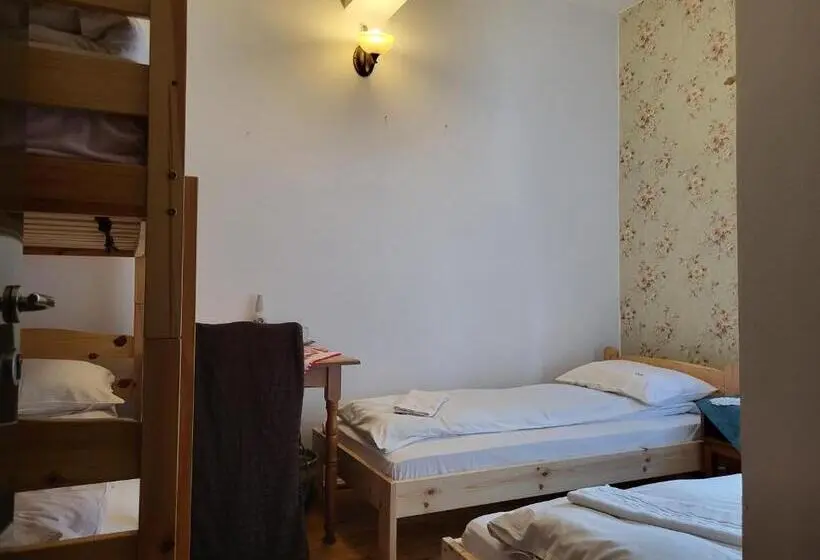 浴室共有スタンダード４人用ルーム, Pension Cabana Cetatile Ponorului