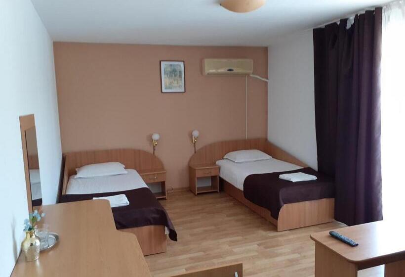 디럭스 룸, Pensiunea Cionca Str 1 Decembrie 1918 Nr 466