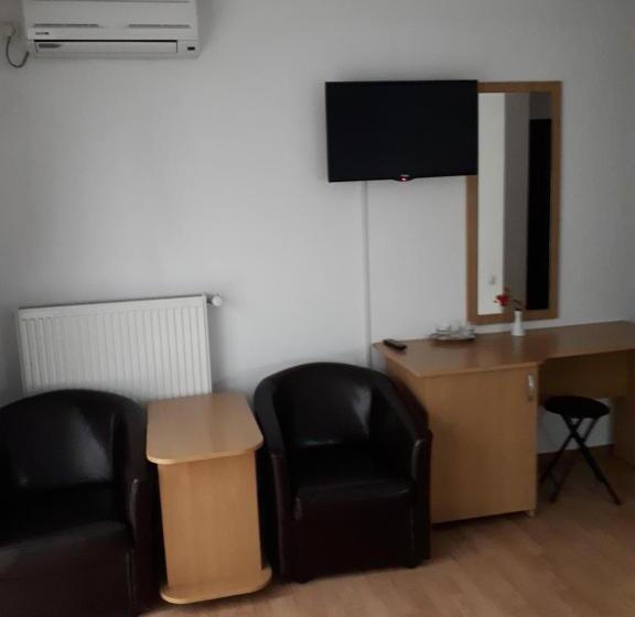 스탠다드 룸, Pensiunea Cionca Str 1 Decembrie 1918 Nr 466