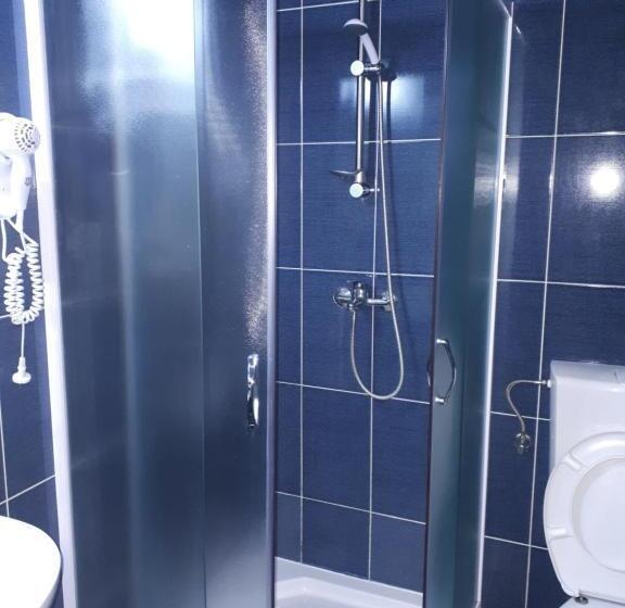 스탠다드 룸, Pensiunea Cionca Str 1 Decembrie 1918 Nr 466