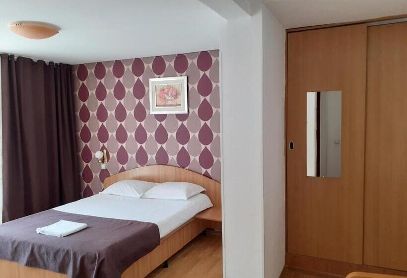 스탠다드 룸, Pensiunea Cionca Str 1 Decembrie 1918 Nr 466