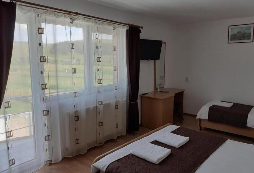 디럭스 트리플 룸, Pensiunea Cionca Str 1 Decembrie 1918 Nr 466