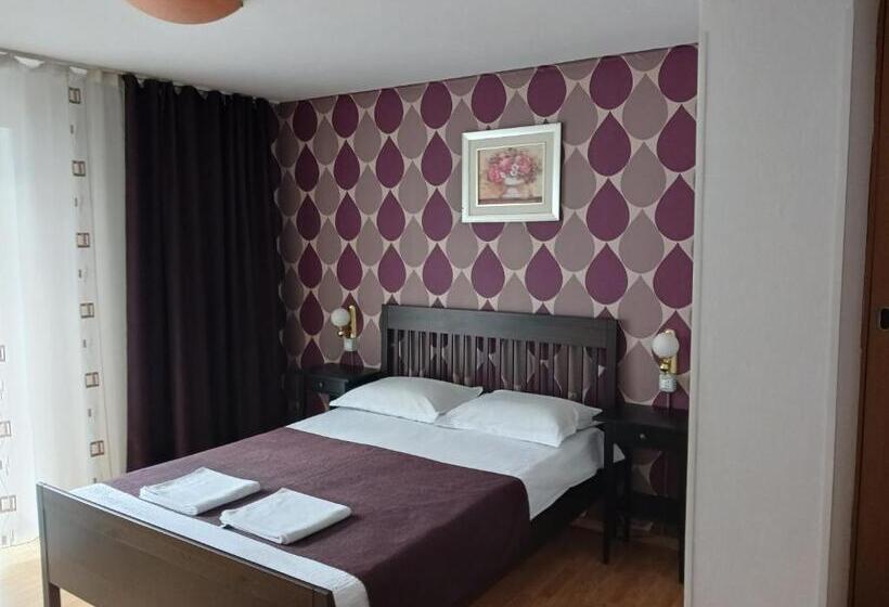 스탠다드 싱글 룸, Pensiunea Cionca Str 1 Decembrie 1918 Nr 466