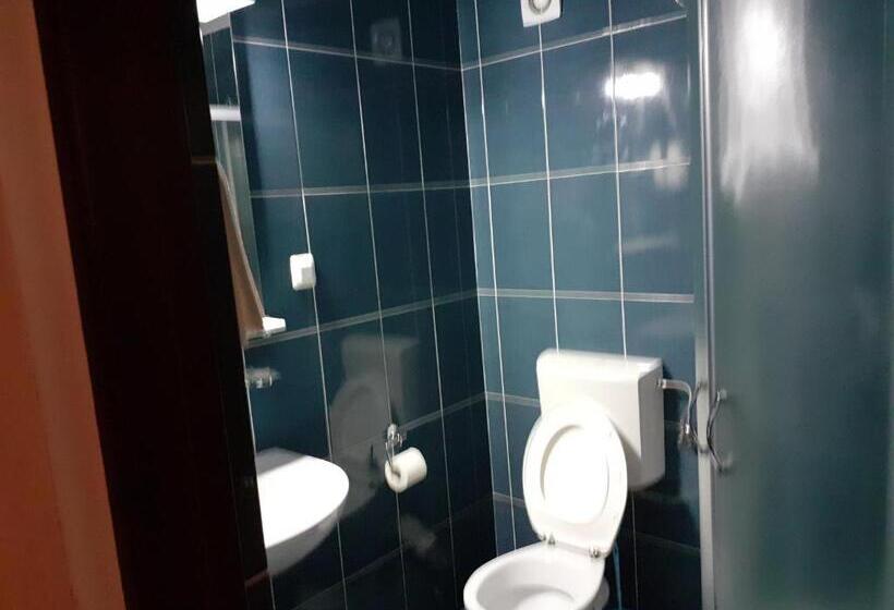 스탠다드 룸, Pensiunea Cionca Str 1 Decembrie 1918 Nr 466