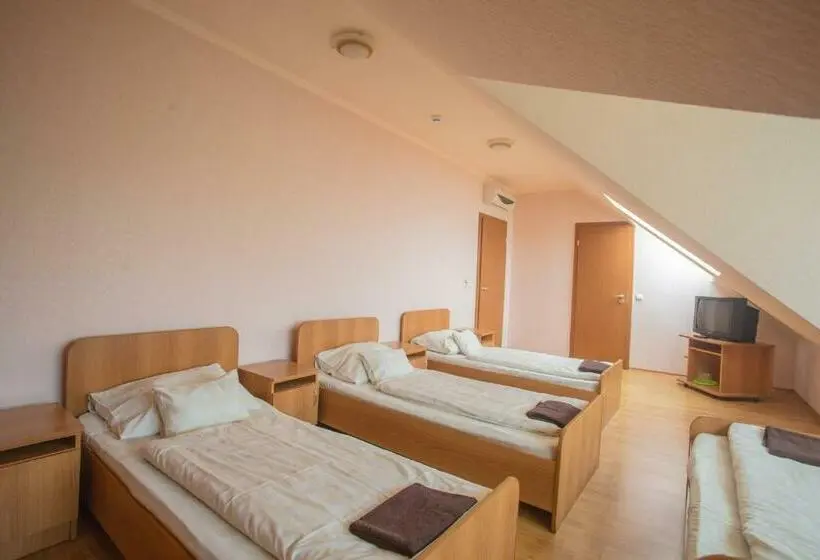 اتاق کلاسیک سه تخته, Praktik Hotel & Restaurant