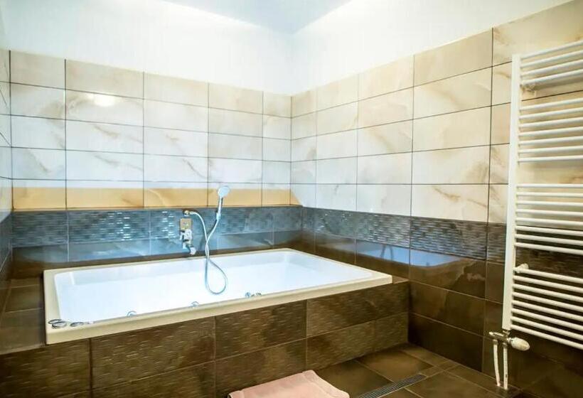 Люкс с гидромассажем, Styria Hotel Chvalovice