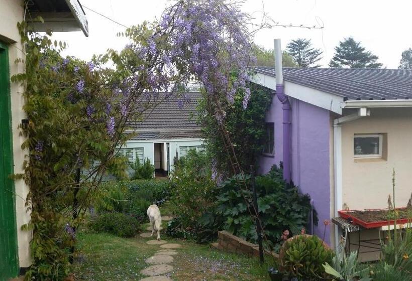 חדר סטנדרט, Wild Berry Guest Farm