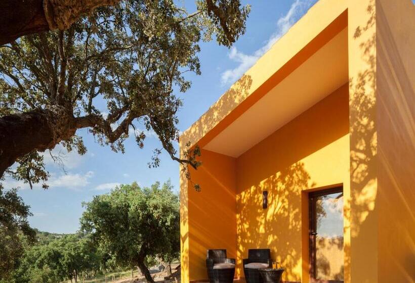 テラス付き１ベッドルームアパートメント, Monte Da Esperanca