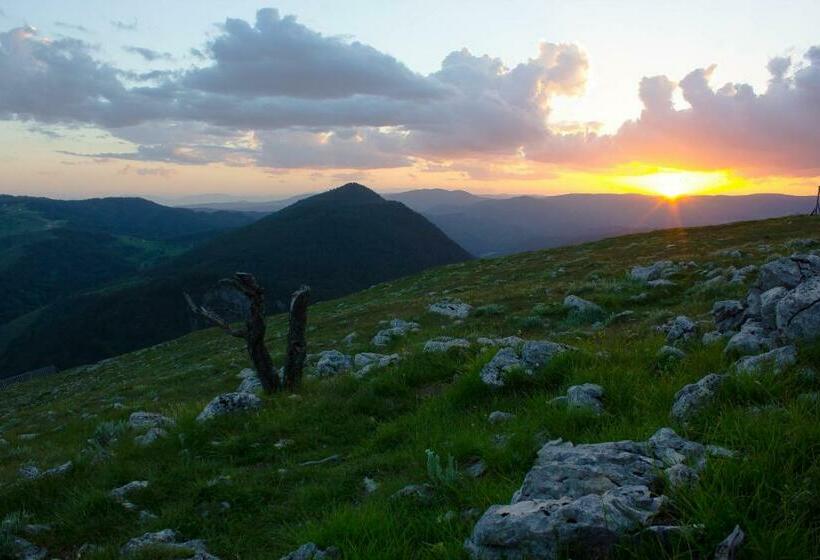 标准房带园景, Mursal