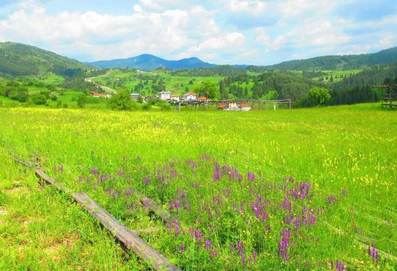 标准房带园景, Mursal