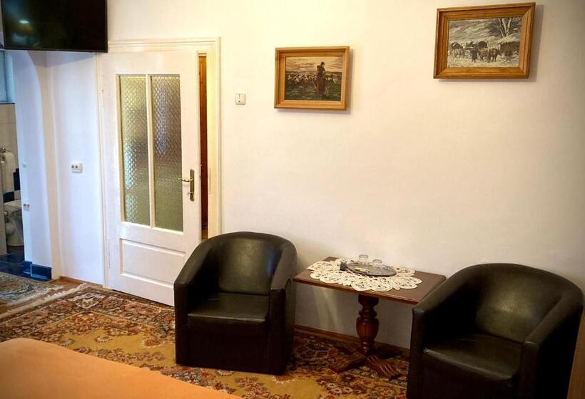 스탠다드 룸, Pensiunea Casa Stefanel