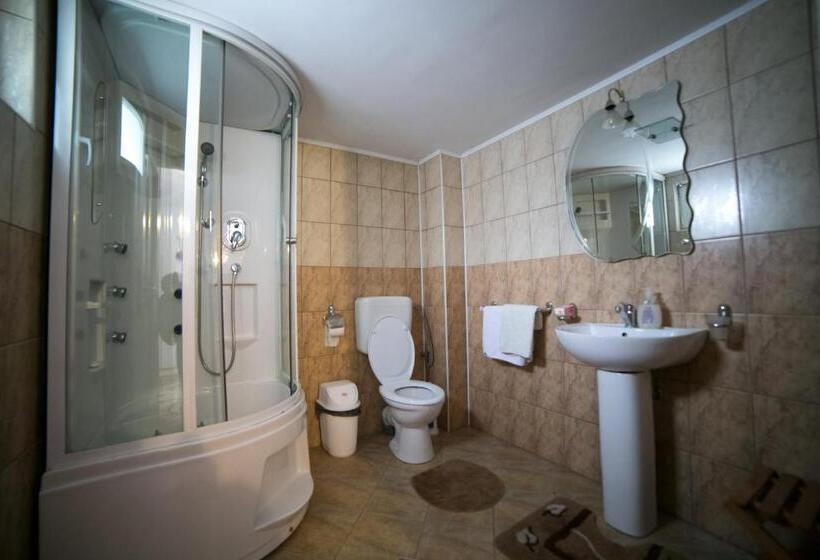 스탠다드 룸, Pensiunea Casa Stefanel