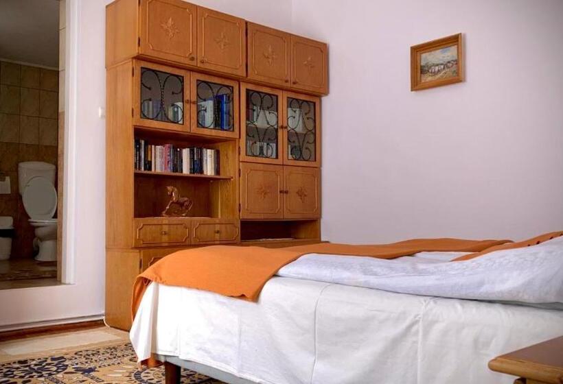 스탠다드 룸, Pensiunea Casa Stefanel