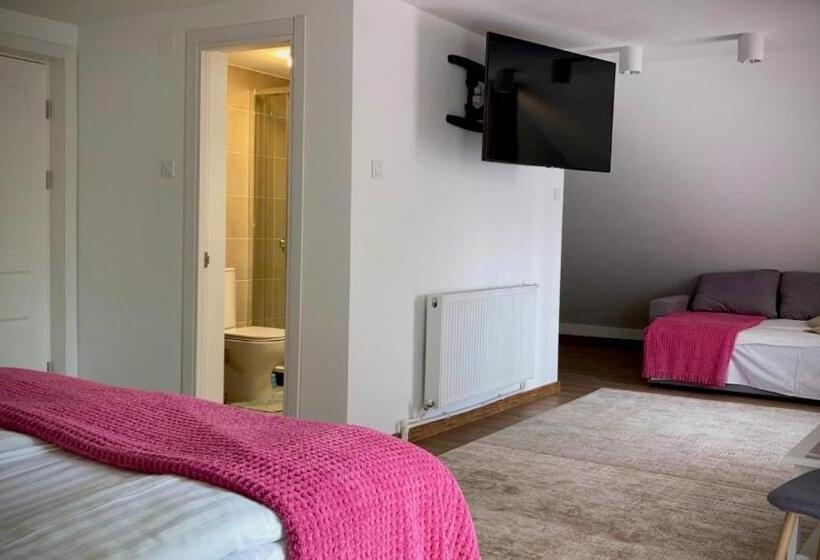 주니어 스위트 발코니, Pensiunea Casa Stefanel