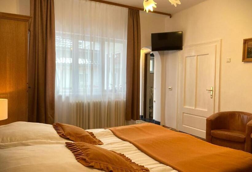 스탠다드 룸, Pensiunea Casa Stefanel