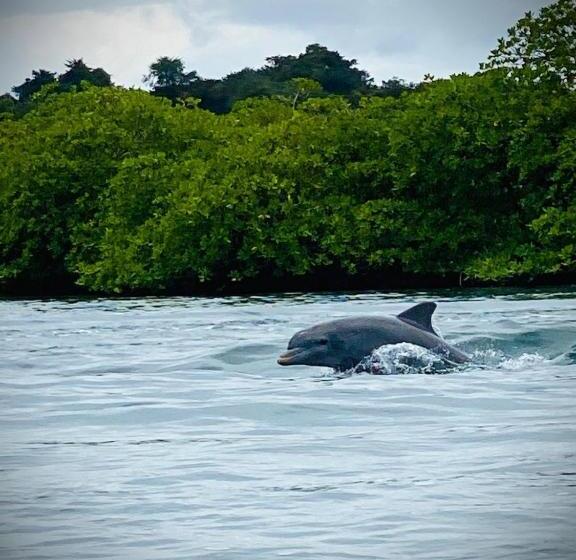 침실 2개 바다 전망 아파트, Kevin Kondos