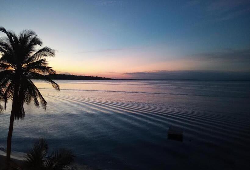 침실 1개 아파트, Kevin Kondos