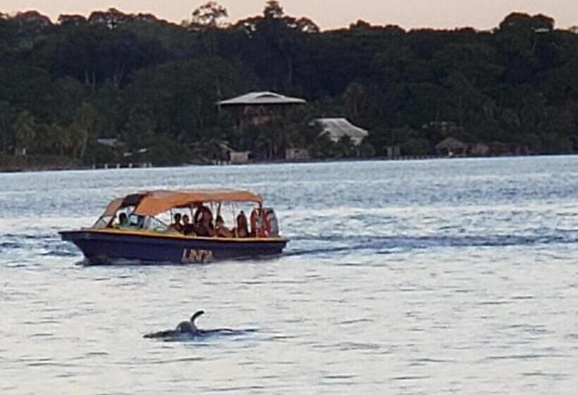 침실 1개 아파트, Kevin Kondos