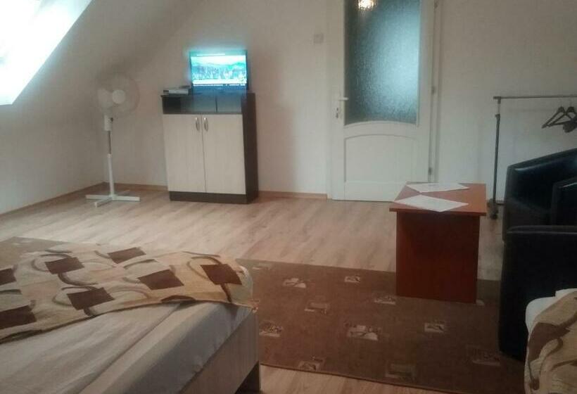 חדר סטנדרט, Pensiunea Rose