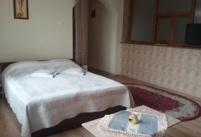 חדר סטנדרט, Pensiunea Rose