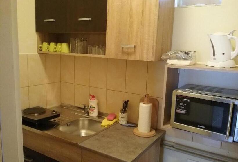 חדר סטנדרט, Pensiunea Rose