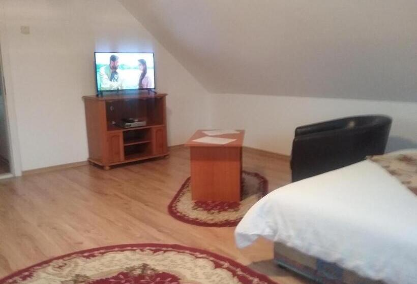 חדר סטנדרט, Pensiunea Rose