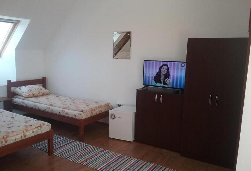 חדר משפחתי נוף להרים, Pensiunea Rose