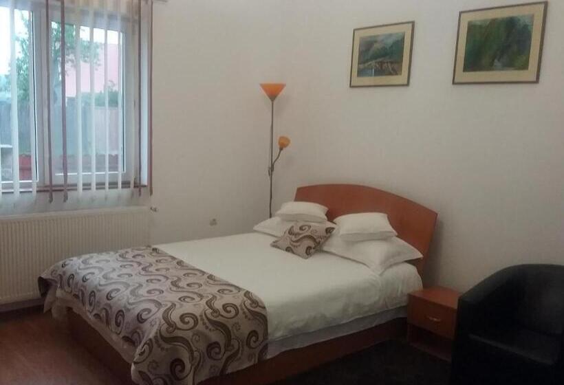 חדר סטנדרט, Pensiunea Rose