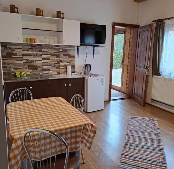 דירה בת חדר שינה 1 עם נוף, Pensiunea Rose