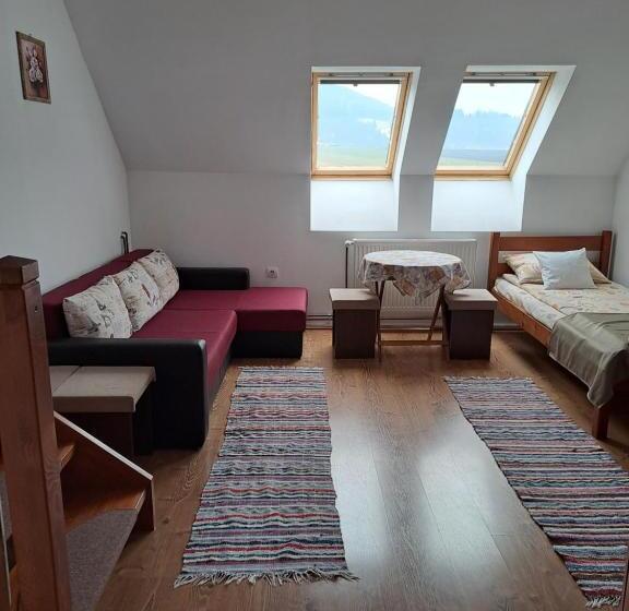 דירה בת חדר שינה 1 עם נוף, Pensiunea Rose